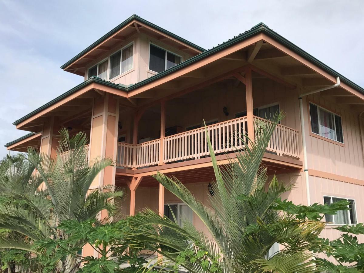 Coconut Palms Vacation Rental Near Lava Fields And Beaches Kehena Exterior photo